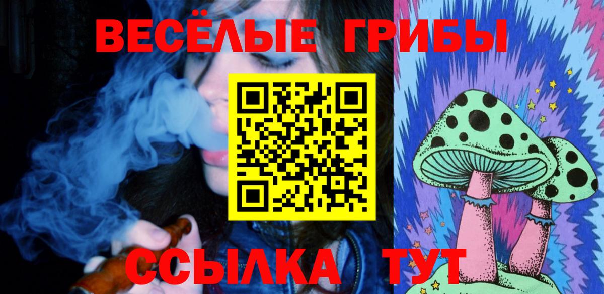 Псилоцибиновые грибы GOLDEN TEACHER Баксан